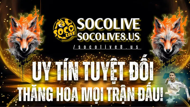 Xem bóng đá trực tiếp bản quyền chính thức trên Socolive